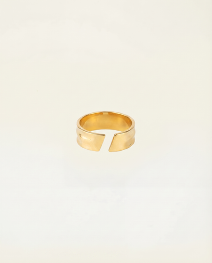 UNISIZE LIQUID RING | 18K GOLD